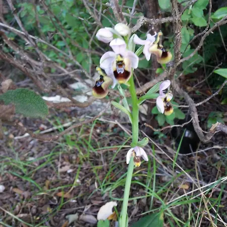 Apartament Casa Boi Tra Montagna E Mare